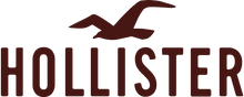 Load image into Gallery viewer, Hollister Logo Iron-on Sticker (heat transfer)