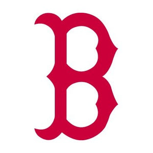 Boston Red Sox Logo Iron-on Decal (heat transfer)