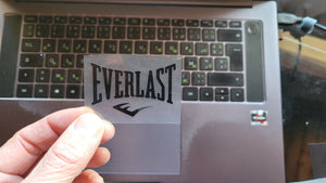 Everlast logo Iron-on Decal (heat transfer)