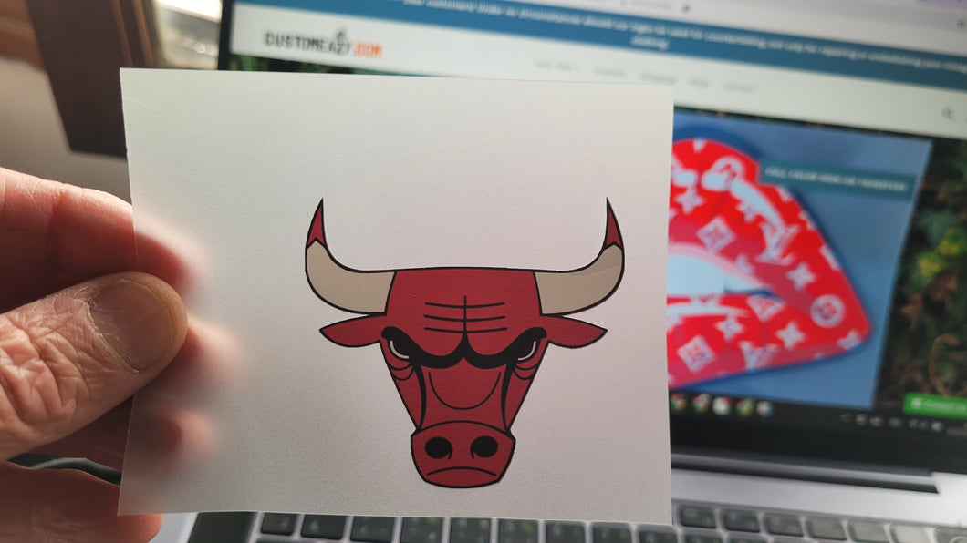 Chicago Bulls colored Logo Iron-on (heat transfer)