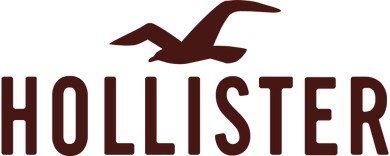 Hollister Logo Iron-on Sticker (heat transfer)