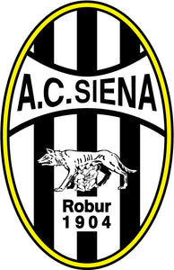 AC Siena Iron-on Transfer Patch
