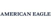 American Eagle Logo Iron-on Sticker (heat transfer)