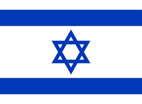 Flag of Israel Logo Iron-on Sticker (heat transfer)