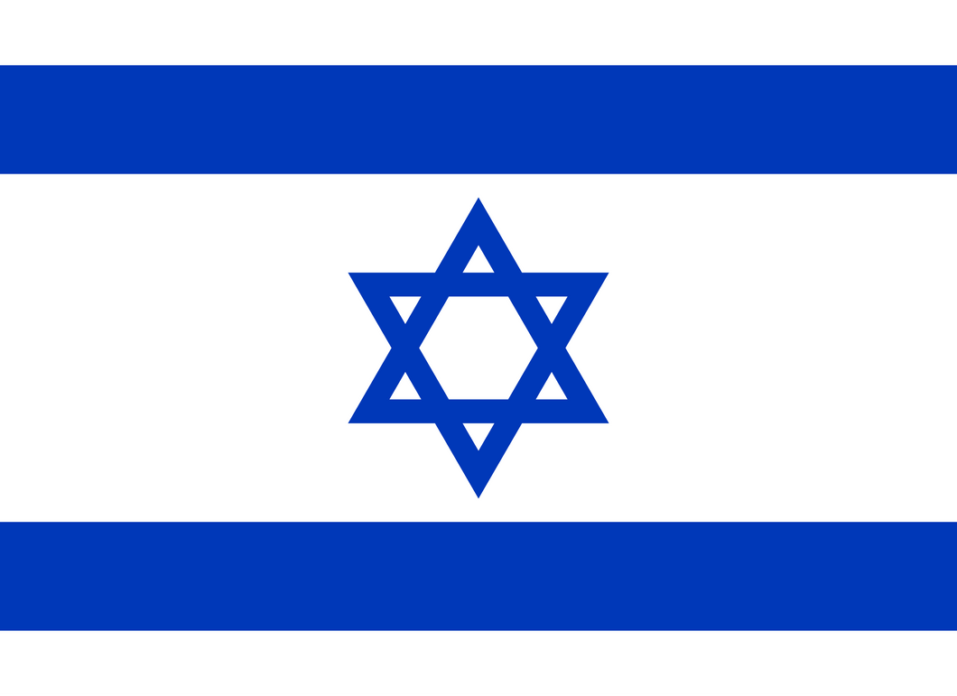 Flag of Israel Logo Iron-on Sticker (heat transfer)