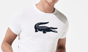 Lacoste Croco only logo Sticker Iron-on