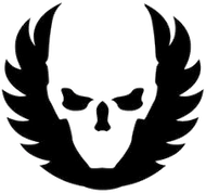 Nike Oregon Project Logo Iron-on Sticker (heat transfer)