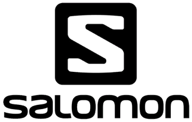 Salomon Logo Iron-on Sticker (heat transfer)