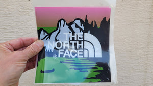 The North Face Big Color Logo