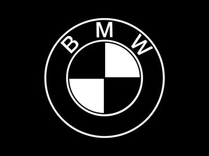 BMW Logo Iron-on Sticker (heat transfer) – Customeazy