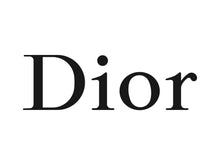 Load image into Gallery viewer, Dior Logo Iron-on Sticker (heat transfer)