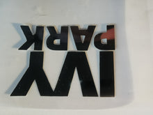 Load image into Gallery viewer, Ivy Park Beyonce Logo Iron-on Sticker (heat transfer)