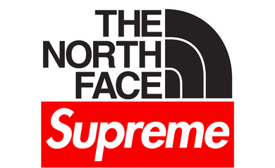 North Face x Supreme Logo