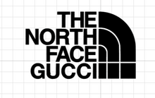 Load image into Gallery viewer, Logo North Face x Gucci 