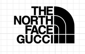 Logo North Face x Gucci