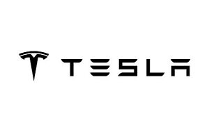 Tesla Logo for T-shirt Iron-on Sticker