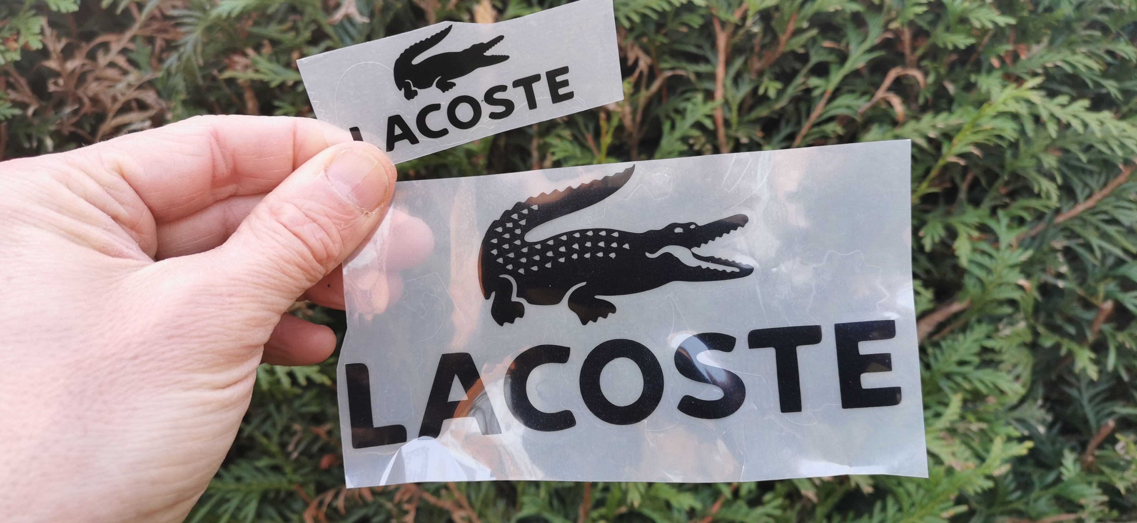 Iron on Lacoste – Customeazy