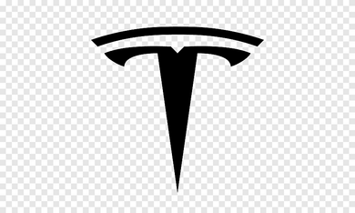 Tesla Logo for T-shirt Iron-on Sticker
