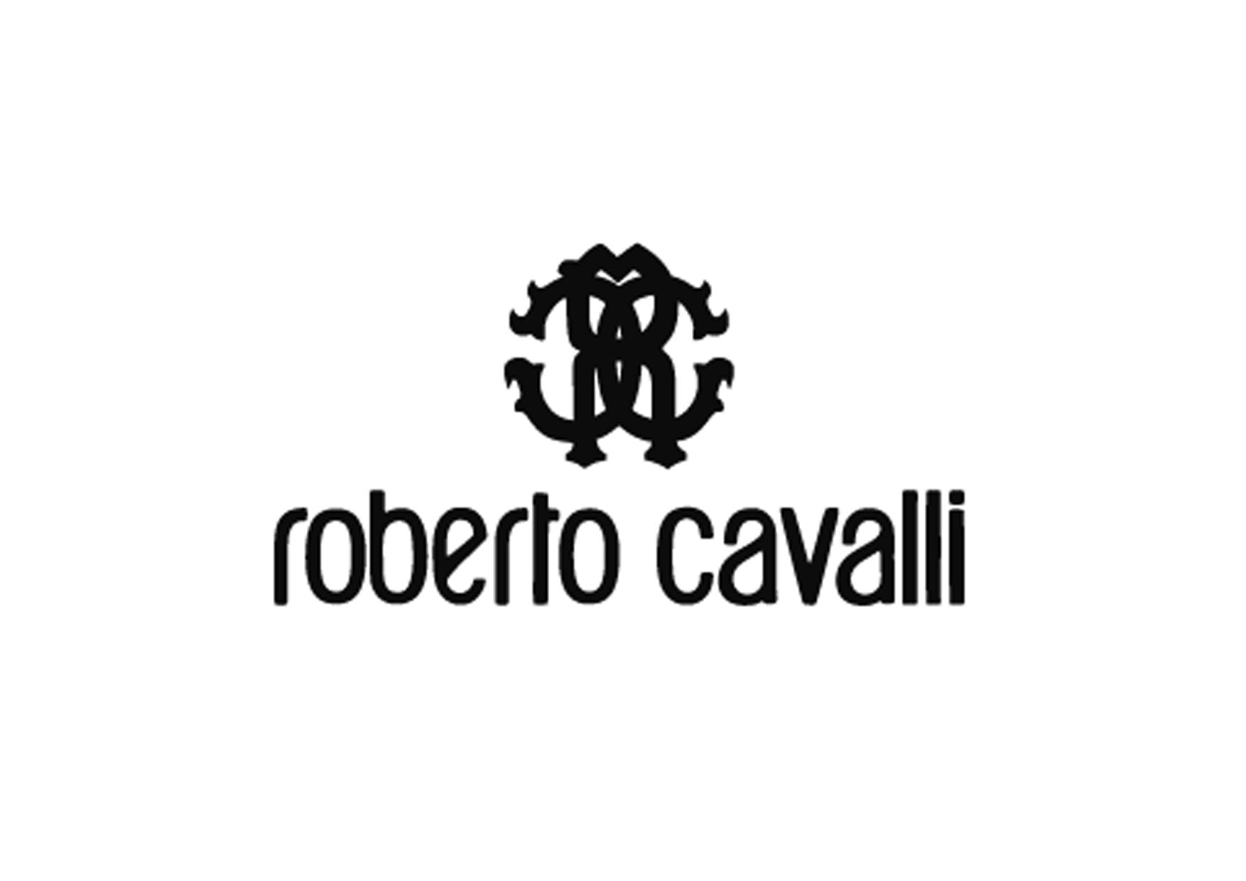 Roberto Cavalli Logo Iron-on Sticker (heat transfer) – Customeazy